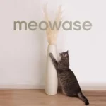 Meowase